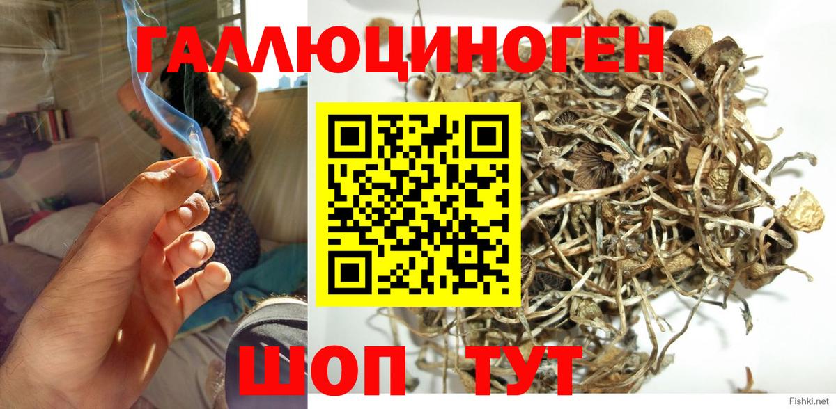 Псилоцибиновые грибы мухоморы Бирск